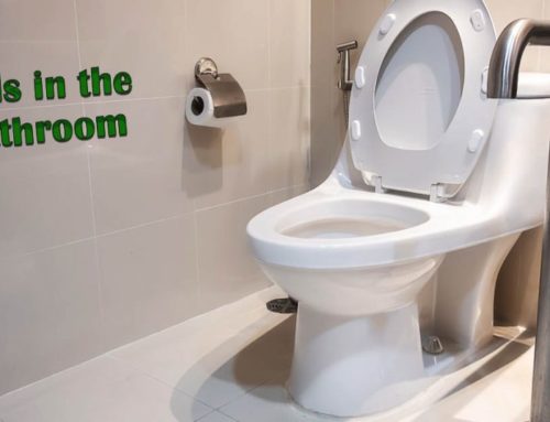 Is the Bathroom the Most Dangerous Room in the House?